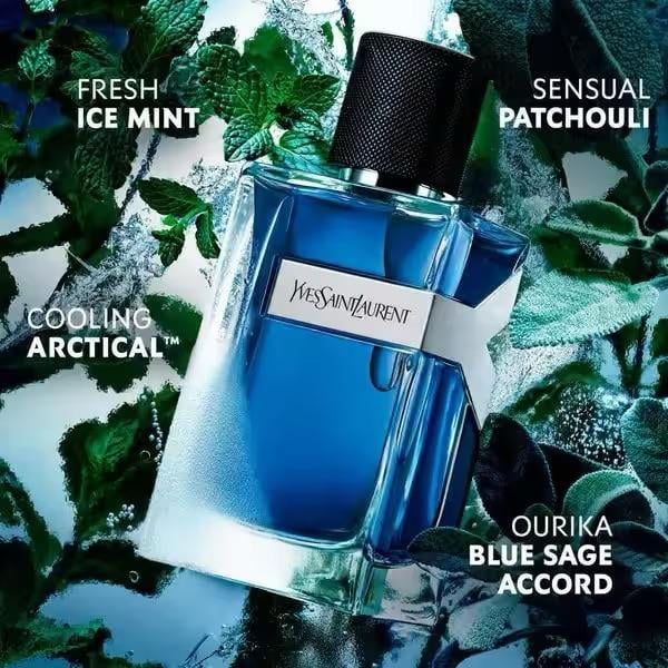 YSL / Yves Saint Laurent - Iced Cologne
